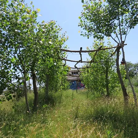 Camping Clandestino Campsite *