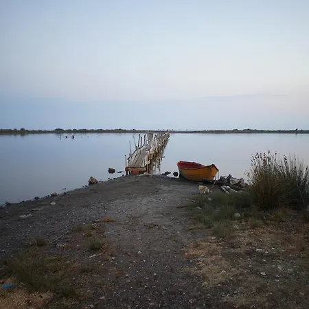 Camping Clandestino *